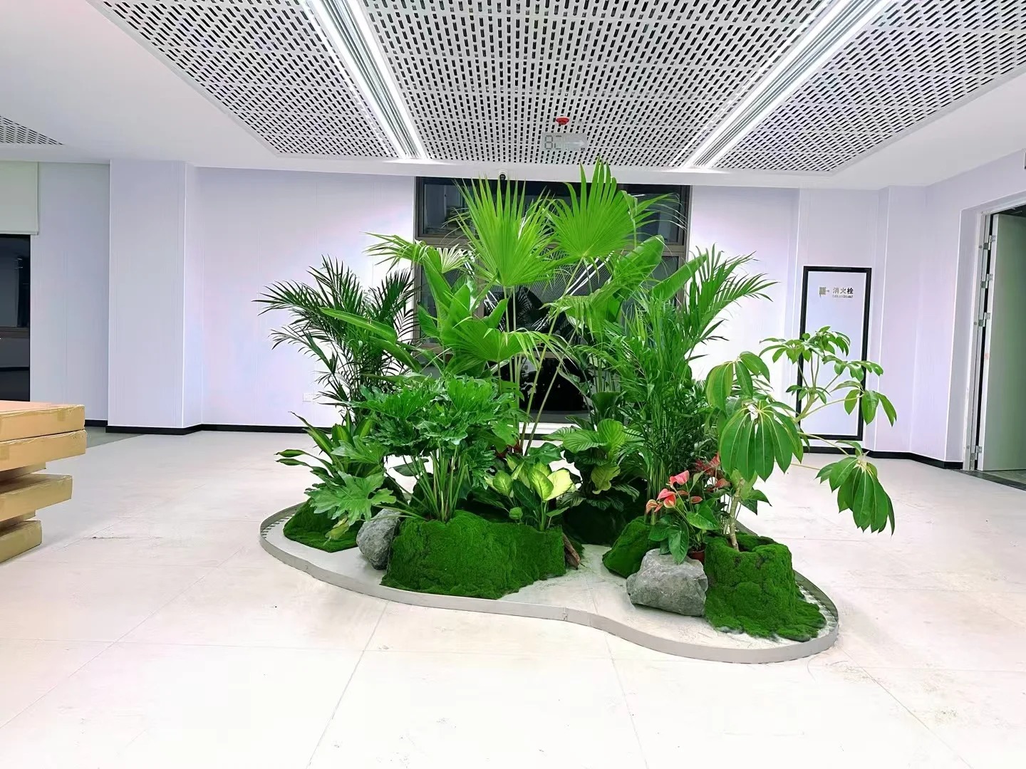 前湾绿植出租超专业，让生活空间绿意盎然